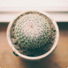 Reportage evento aziendale